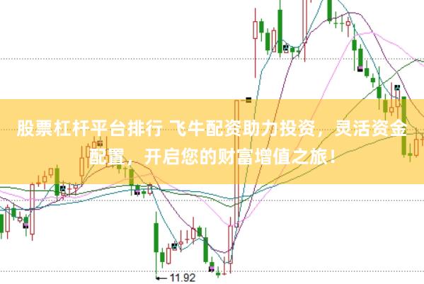 股票杠杆平台排行 飞牛配资助力投资，灵活资金配置，开启您的财富增值之旅！