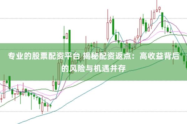 专业的股票配资平台 揭秘配资返点：高收益背后的风险与机遇并存