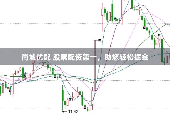 尚城优配 股票配资第一，助您轻松掘金