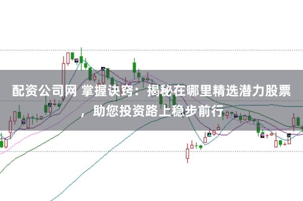 配资公司网 掌握诀窍：揭秘在哪里精选潜力股票，助您投资路上稳步前行