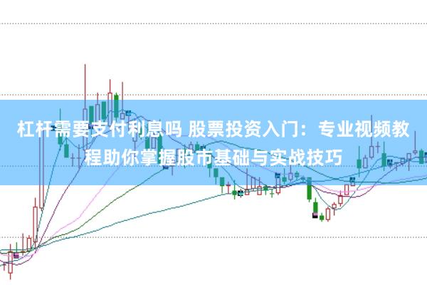 杠杆需要支付利息吗 股票投资入门：专业视频教程助你掌握股市基础与实战技巧