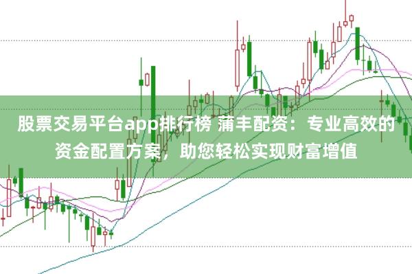 股票交易平台app排行榜 蒲丰配资：专业高效的资金配置方案，助您轻松实现财富增值