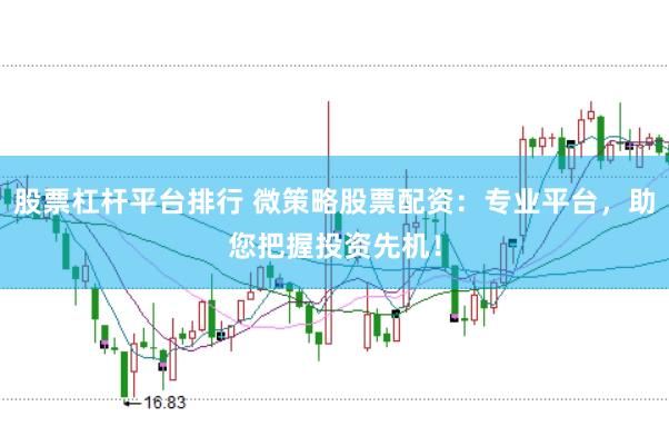 股票杠杆平台排行 微策略股票配资：专业平台，助您把握投资先机！