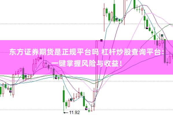 东方证券期货是正规平台吗 杠杆炒股查询平台：一键掌握风险与收益！