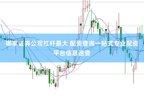 哪家证券公司杠杆最大 配资查询一站式专业配资平台信息速查