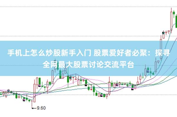 手机上怎么炒股新手入门 股票爱好者必聚：探寻全网最大股票讨论交流平台