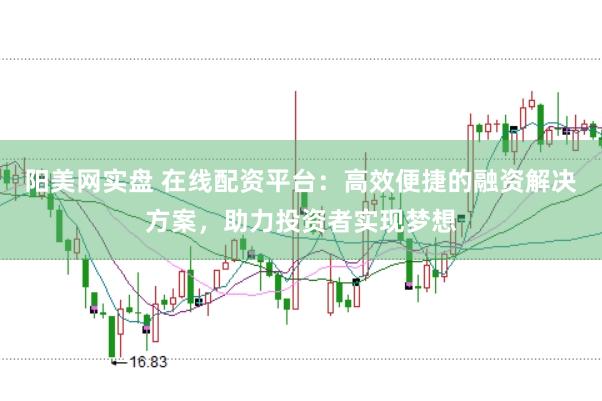 阳美网实盘 在线配资平台：高效便捷的融资解决方案，助力投资者实现梦想