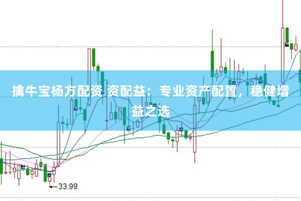 擒牛宝杨方配资 资配益：专业资产配置，稳健增益之选