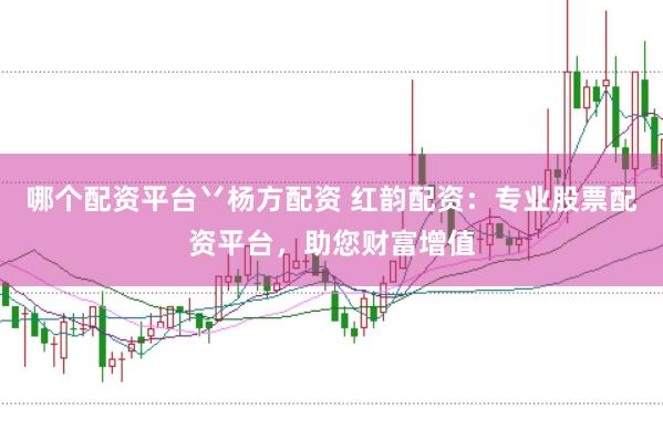 哪个配资平台丷杨方配资 红韵配资：专业股票配资平台，助您财富增值