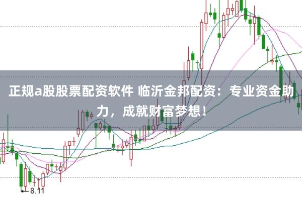 正规a股股票配资软件 临沂金邦配资：专业资金助力，成就财富梦想！