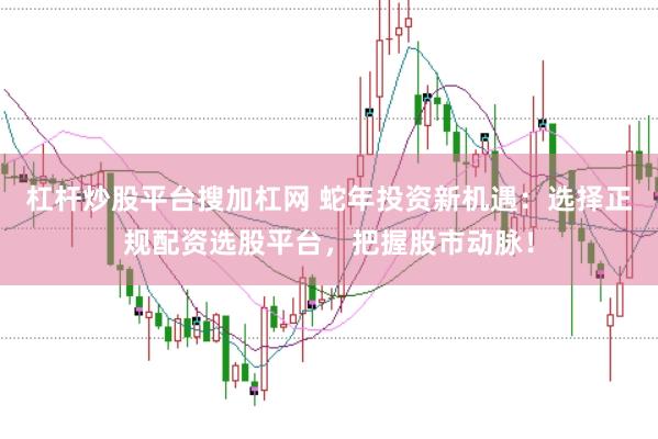 杠杆炒股平台搜加杠网 蛇年投资新机遇：选择正规配资选股平台，把握股市动脉！
