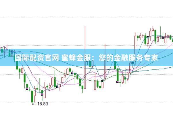 国际配资官网 蜜蜂金服：您的金融服务专家