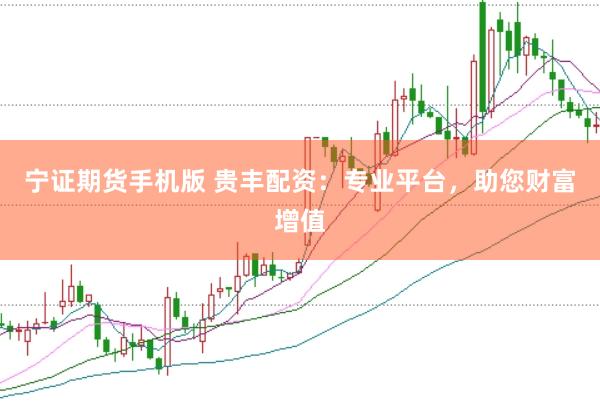 宁证期货手机版 贵丰配资：专业平台，助您财富增值