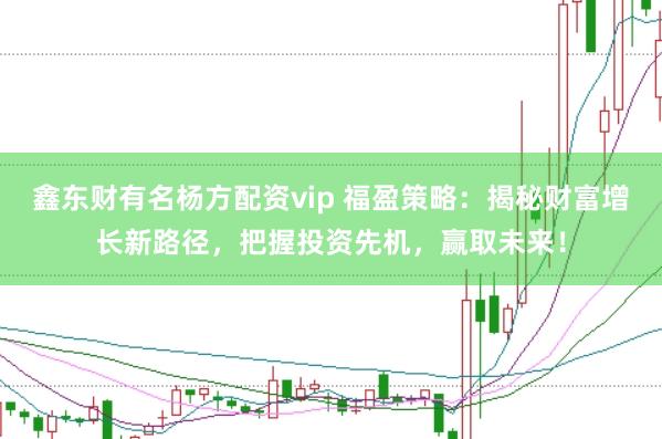 鑫东财有名杨方配资vip 福盈策略：揭秘财富增长新路径，把握投资先机，赢取未来！