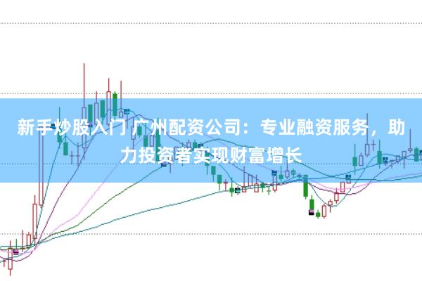 新手炒股入门 广州配资公司：专业融资服务，助力投资者实现财富增长