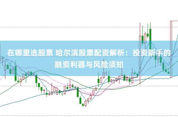 在哪里选股票 哈尔滨股票配资解析：投资新手的融资利器与风险须知